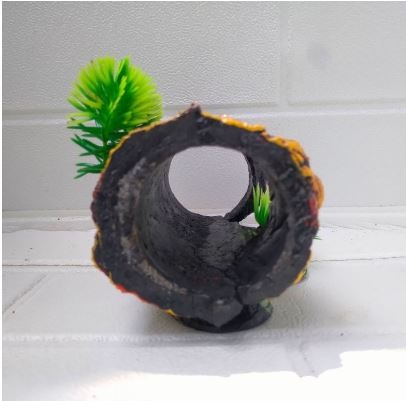 Hiasan Aquarium Pokol Kayu Bolong