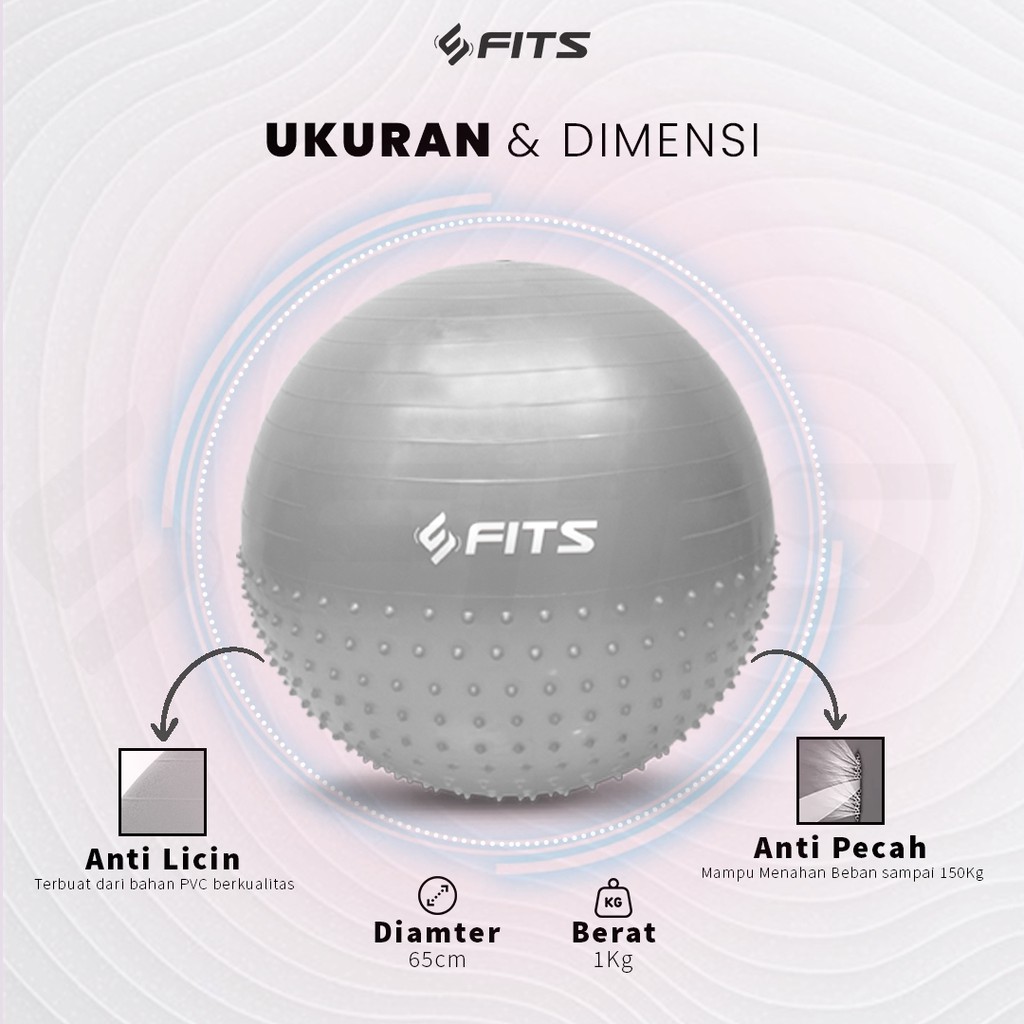 Dynamo Media Network FITS Gym Ball Half Massage Point