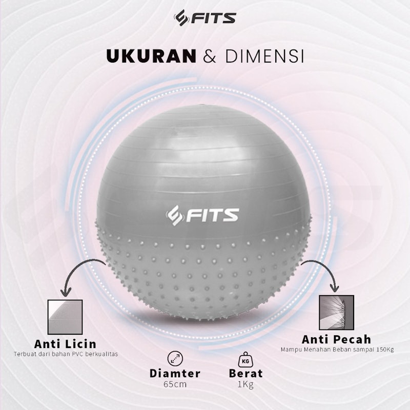 FITS Gym Ball Half Massage Point 2