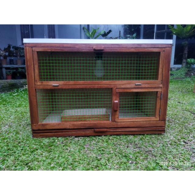  Kandang Anak Ayam Petelur DOC