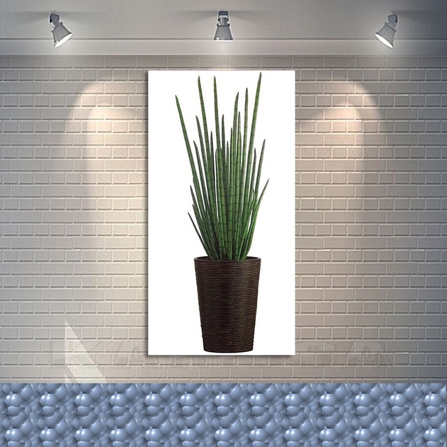 Karrisut Hiasan Dinding Ruang Tamu