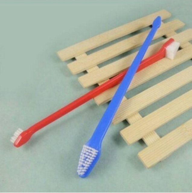  Sikat Gigi Anjing Kucing Musang