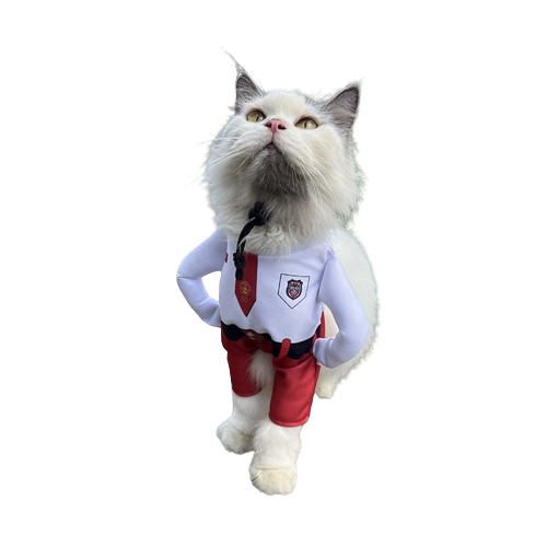 Baju Kucing Kostum Anak Sekolah