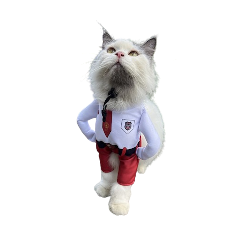 Baju Kucing Kostum Anak Sekolah 1
