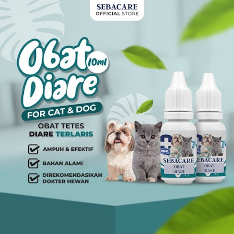 Sebacare Obat Diare 2