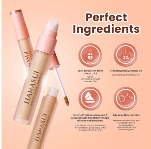 Eka Jaya Internasional Hanasui Perfect Cover Concealer 01 Fair