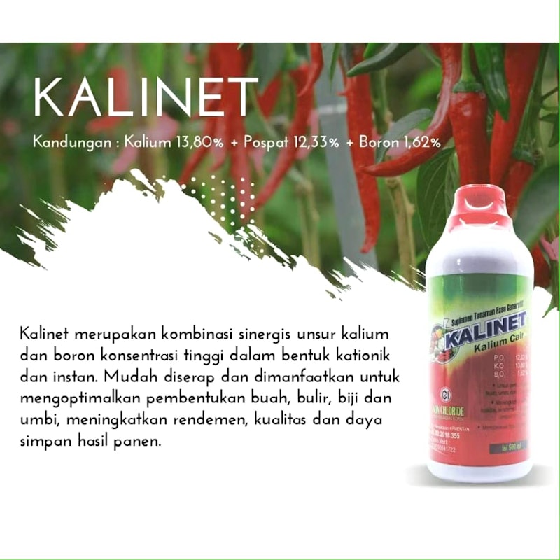 Kalinet Kalium Cair 2