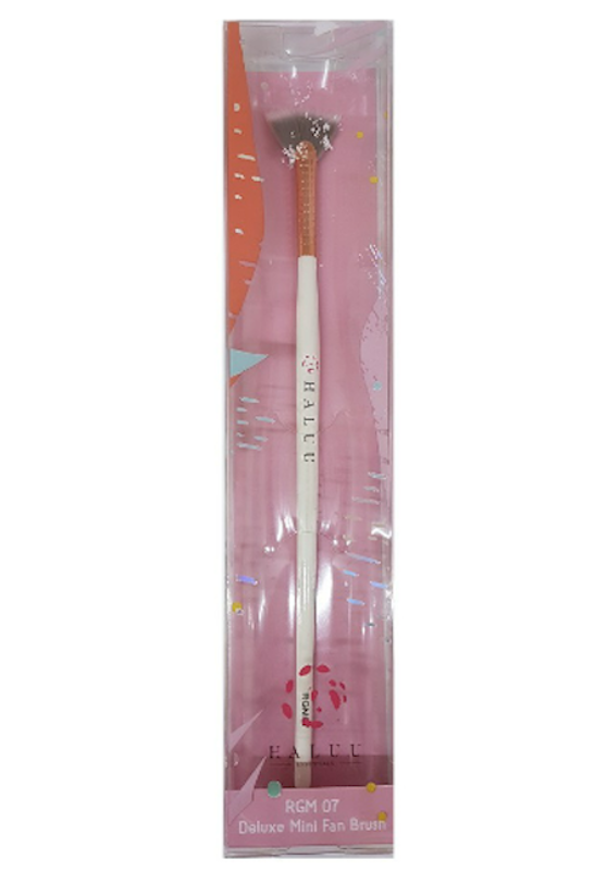 Deluxe Mini Fan Brush 5