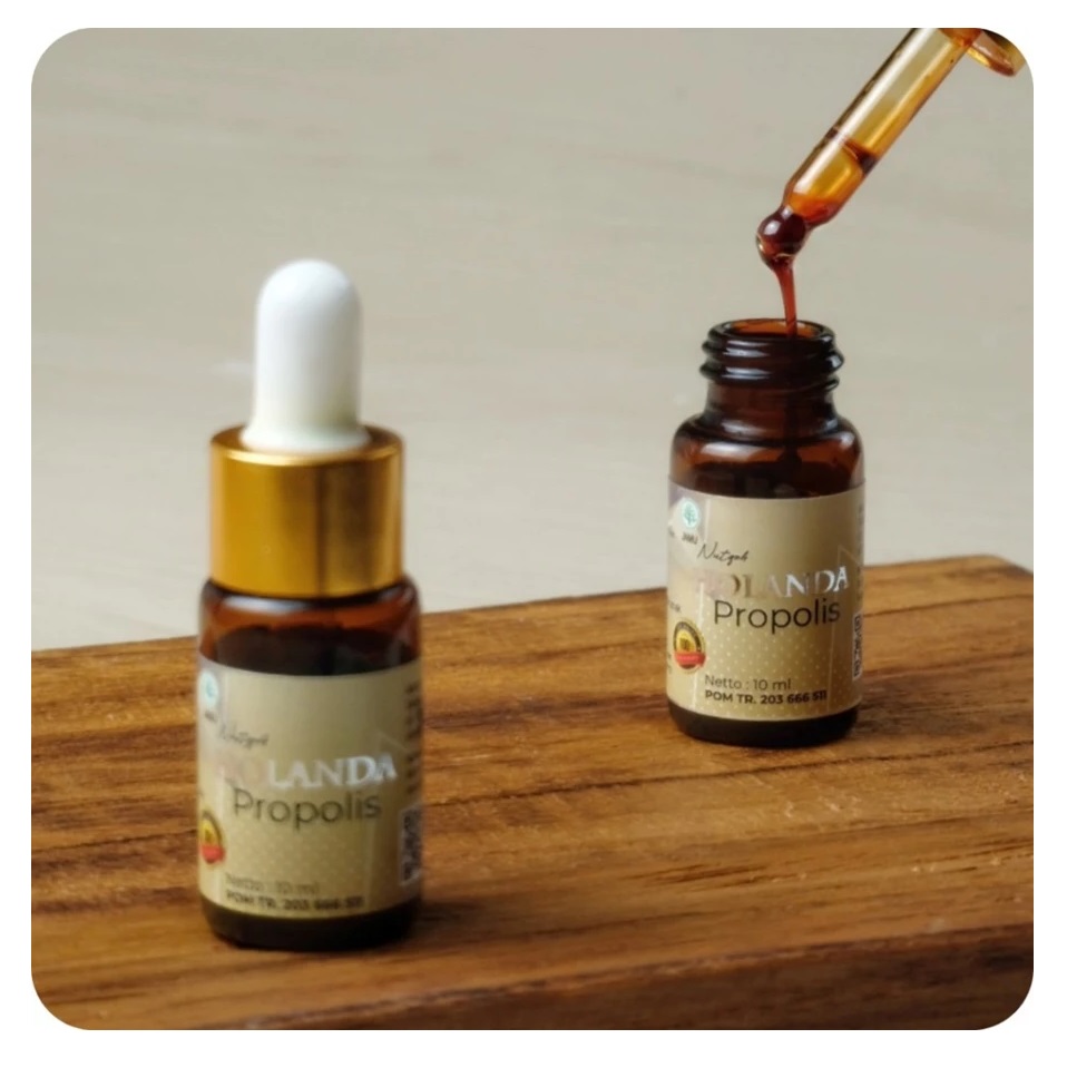  Nutqoh Holanda Propolis