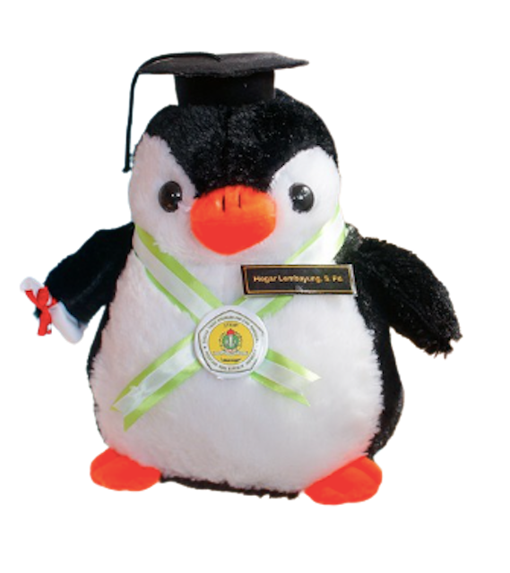  Boneka Wisuda Penguin