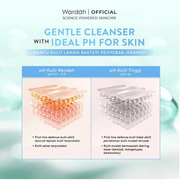 Paragon Technology and Innovation Wardah Cica Aloe Low pH Hydramild Facial Wash 