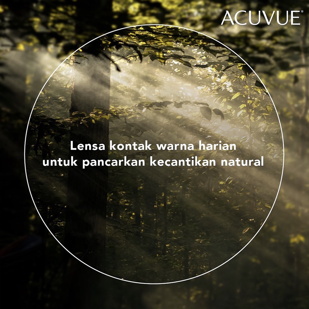 Johnson & Johnson Acuvue 1-Day Define Fresh Grayzel