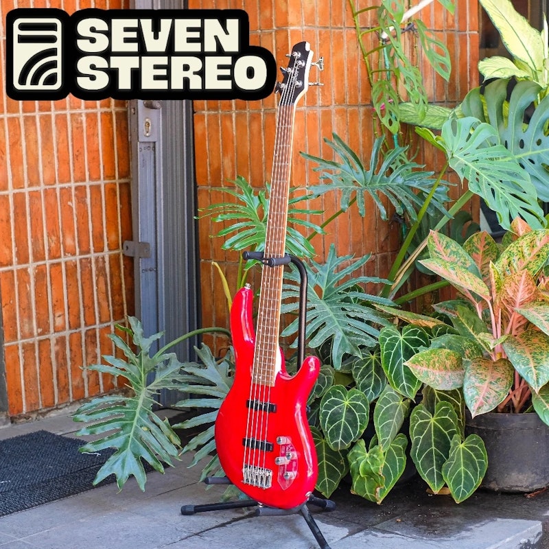 Cort Action Bass V Plus 5