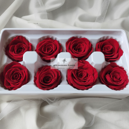 Preserved Rose 4-5 cm 3