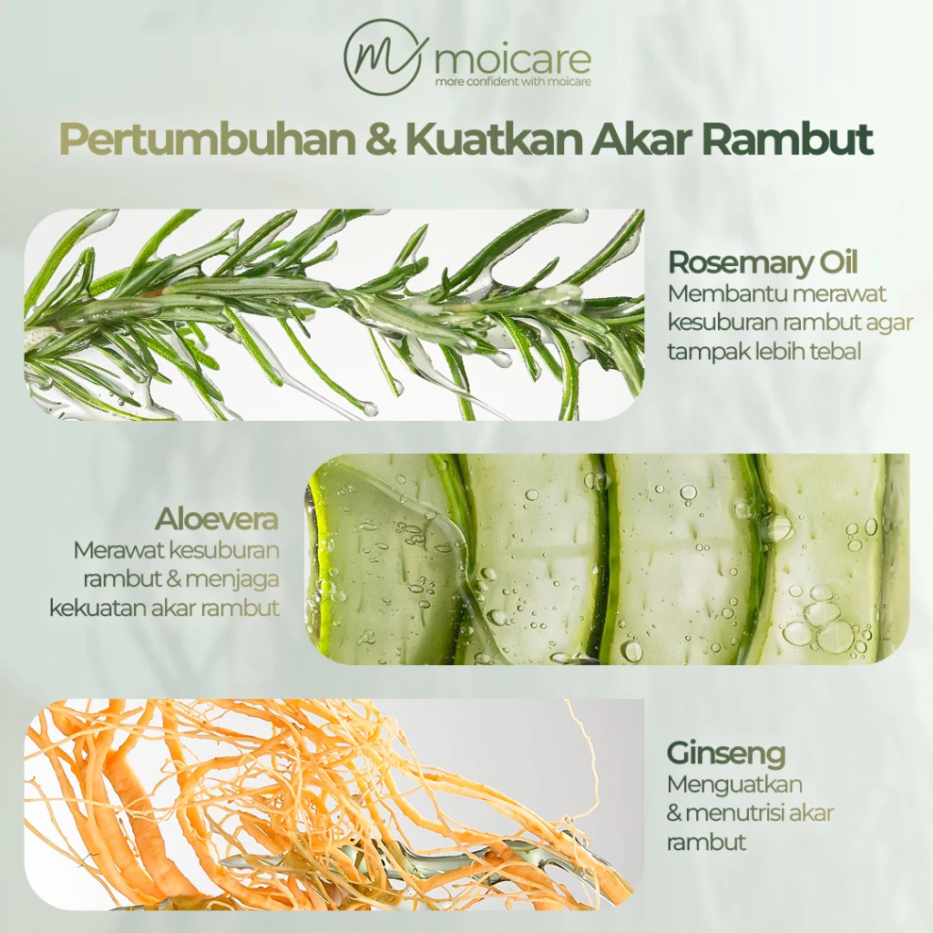 Moicare Hair Treatment Shampoo