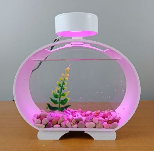 10 Aquarium Cupang Terbaik - Ditinjau oleh Aquascaper (Terbaru Tahun 2026) 4