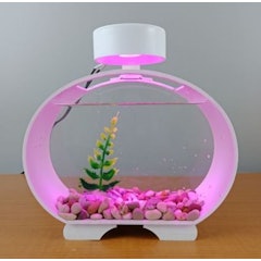 Akuarium Akrilik Mini Ikan Cupang Solitare