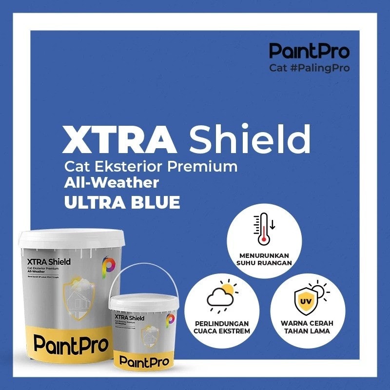PaintPro XTRA Shield