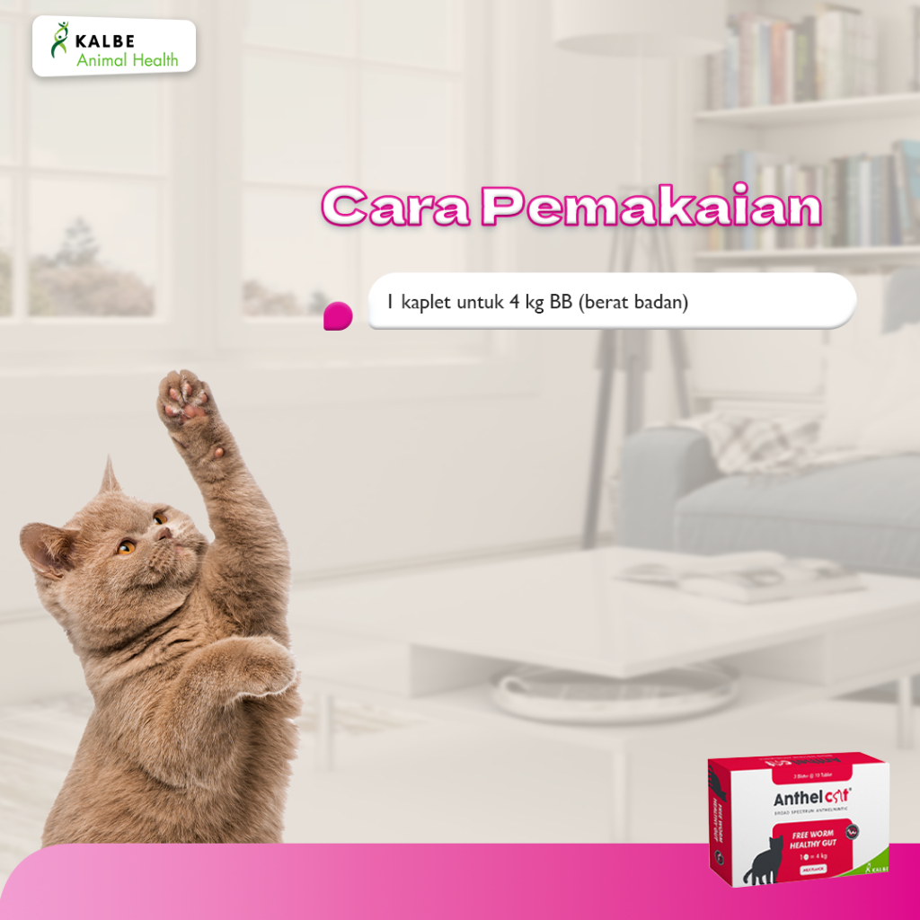 Anthel Cat 5