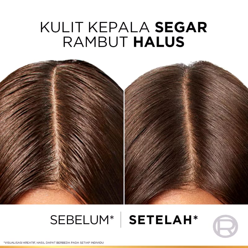 L’Oréal L’Oréal Paris Elseve Hyaluron Pure 72H Purifying Shampoo