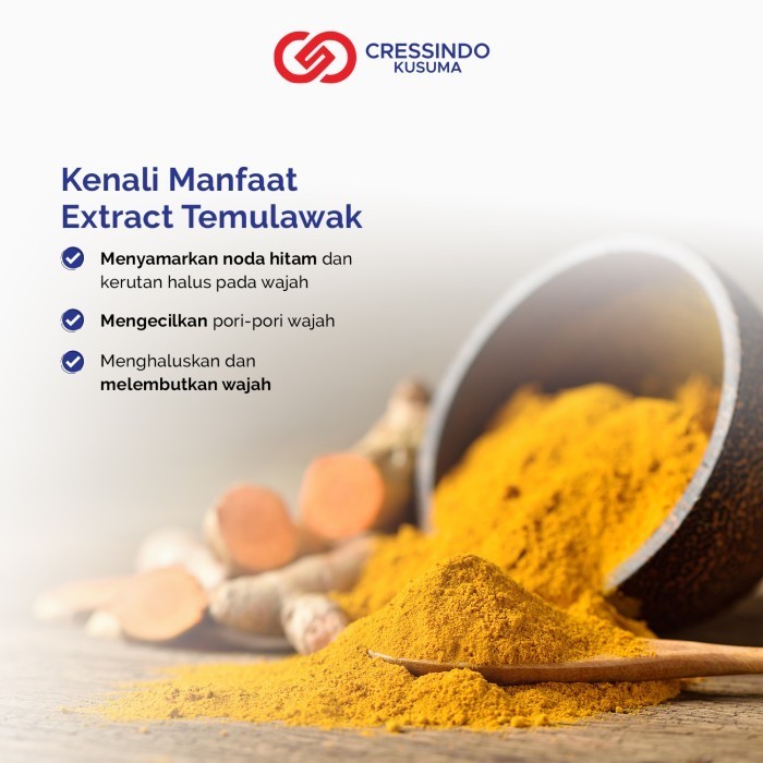 THE FACE Temulawak Brightening Soap