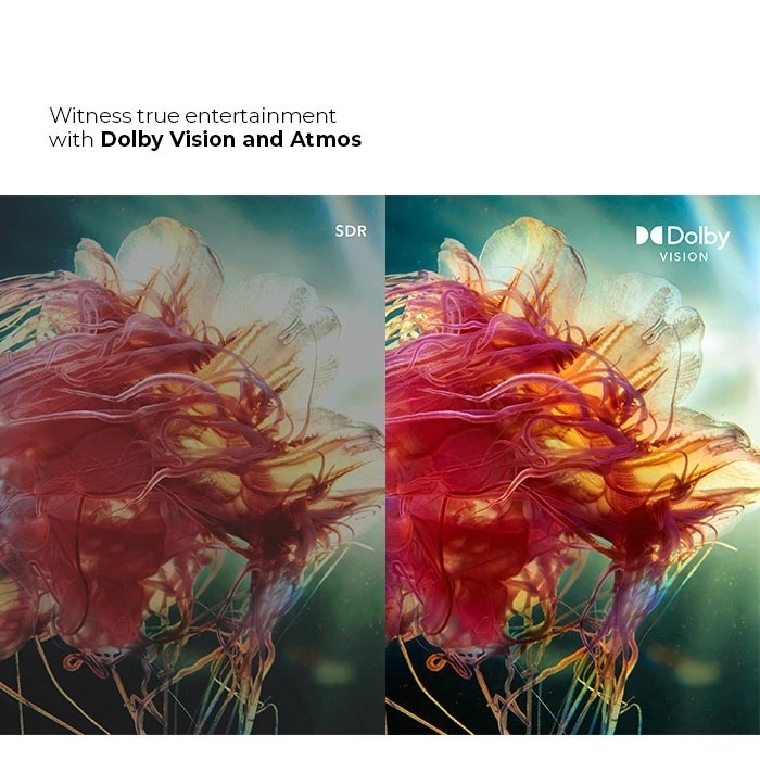 Hartono Istana Teknologi Polytron 65" Google TV 65UG5959