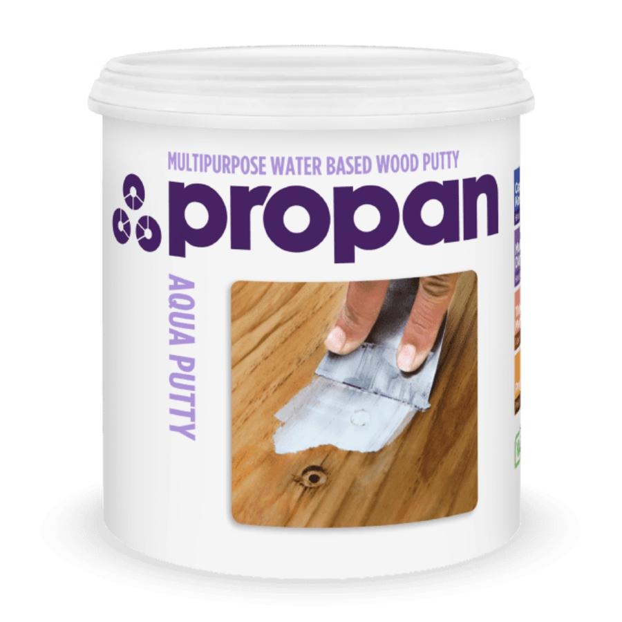 Propan Aqua Putty AWP 919 1kg