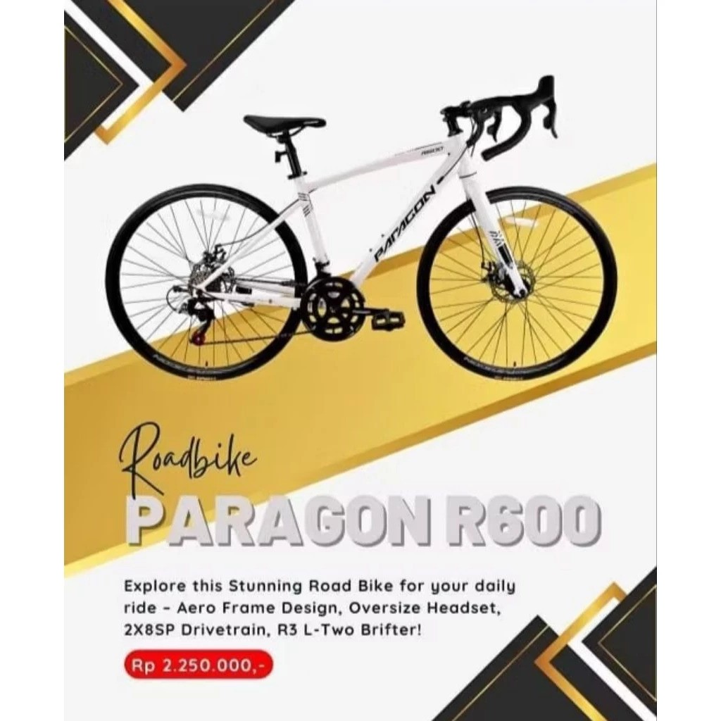 United Bike Manufacturing Paragon Roadbike R600