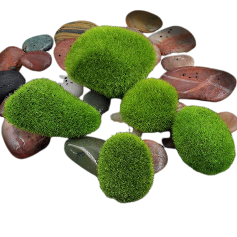 Batu Lumut 1