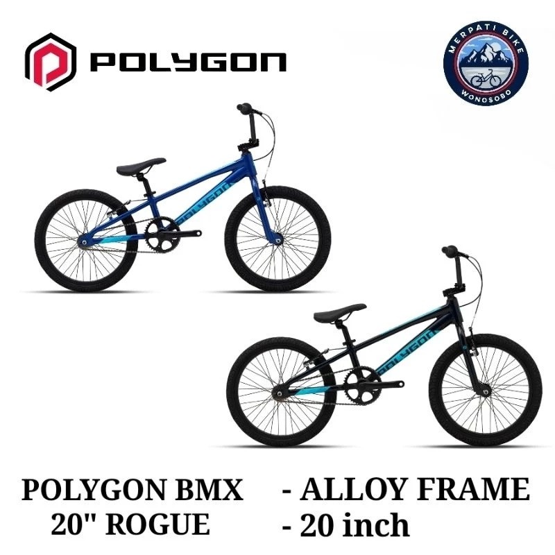 Polygon Rogue