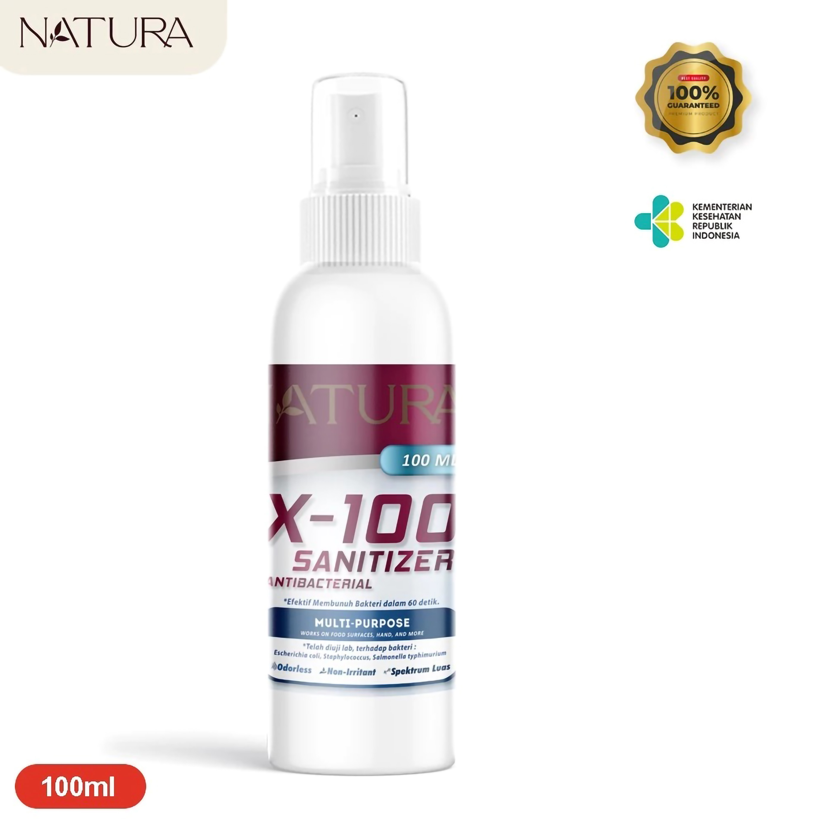 Natura X-100 Sanitizer Antibacterial 2