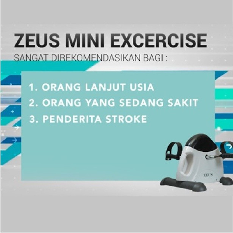 Zeus Mini Electric Static Bike 4