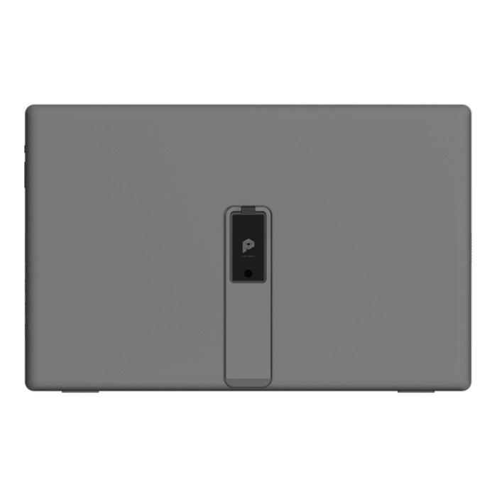 Micro Star International MSI Portable Monitor PRO MP161 E2