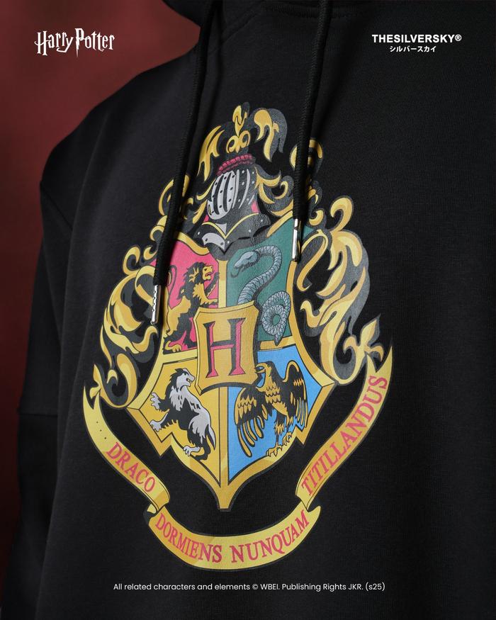 Thesilversky Thesilversky Harry Potter Hogwarts Houses Boxy Hoodie