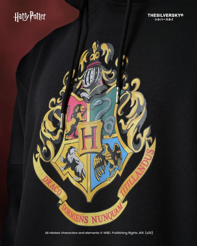 Thesilversky Harry Potter Hogwarts Houses Boxy Hoodie 4
