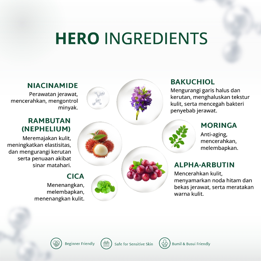 Alfajr Insan Mulia Fabil Natural Bakuchiol + Nephelium Revitalizing Serum