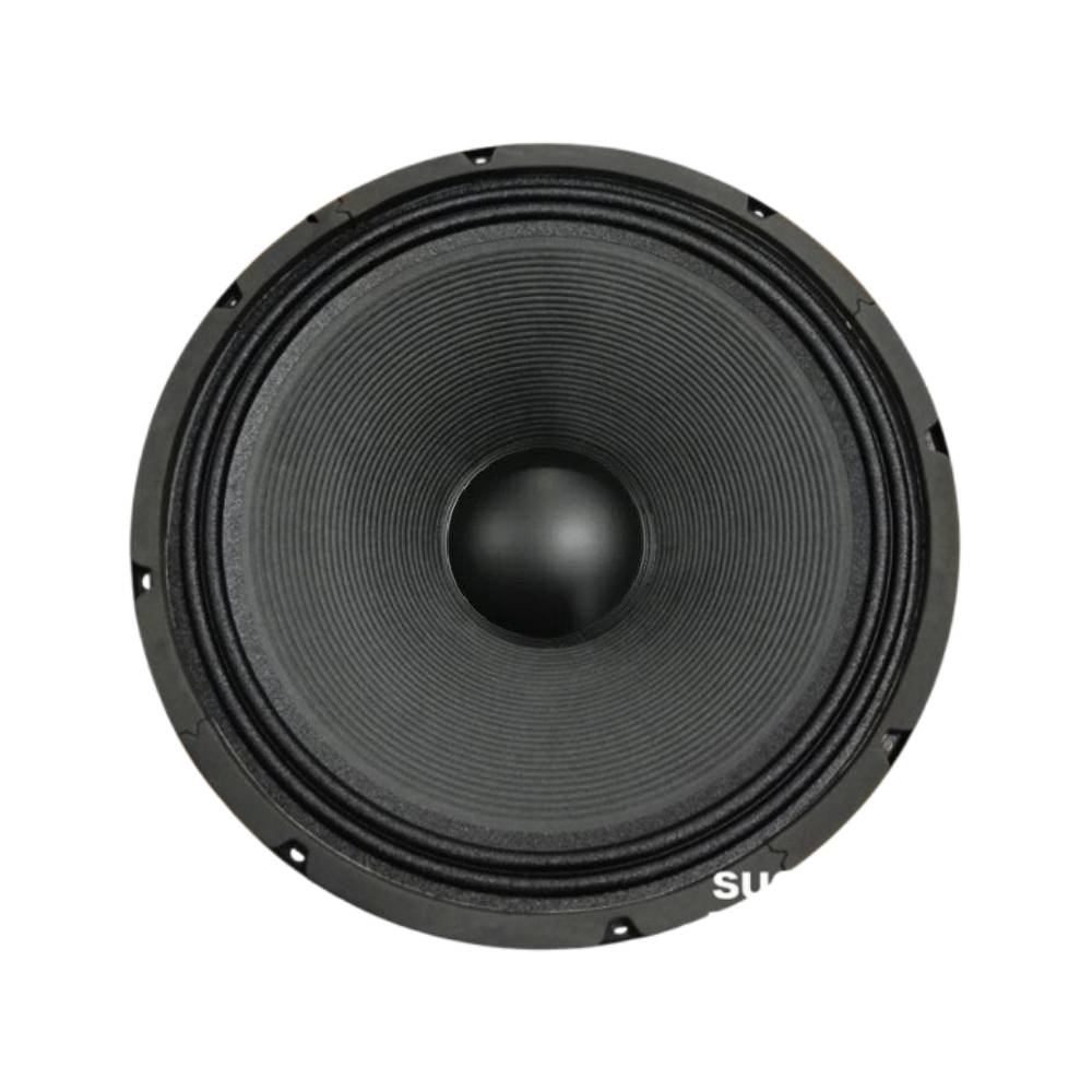 ACR 15" Speaker Black Series 1