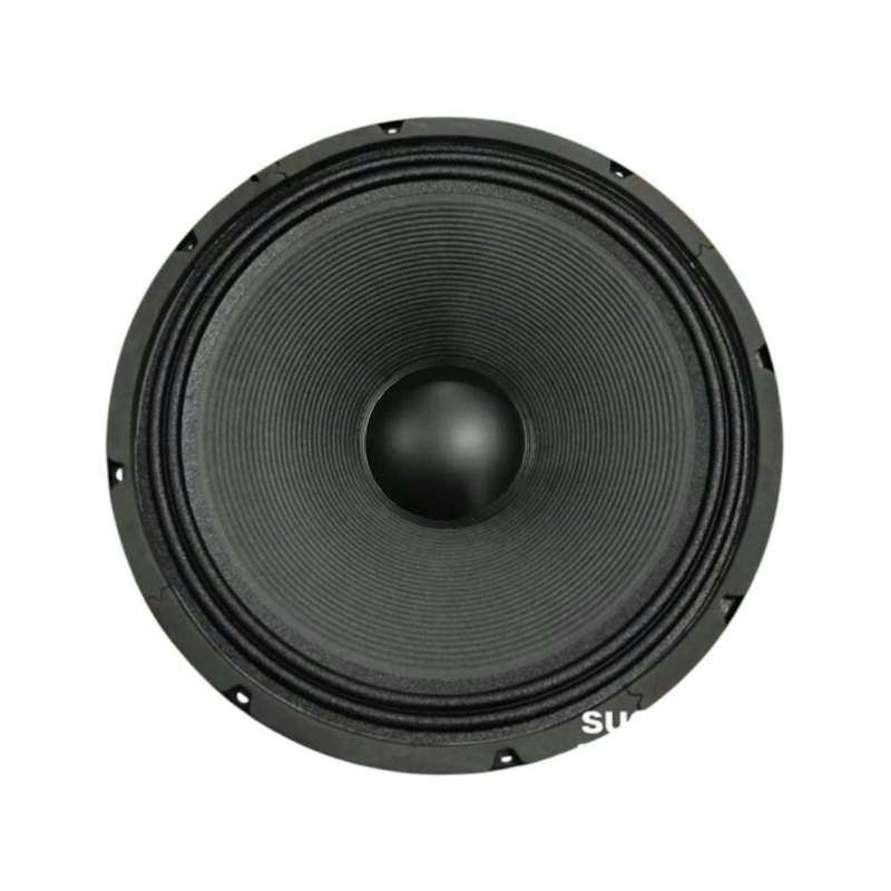 ACR 15" Speaker Black Series 1