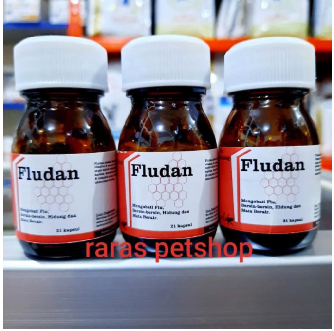  Fludan Capsules