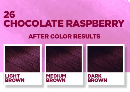 Revlon ColorSilk Urban Style Chocolate Raspberry (26)