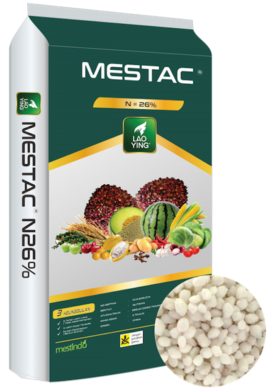 Lao Ying Mestac 1
