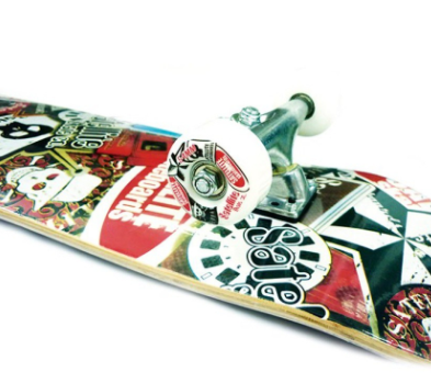 Silverfox  Skateboard Canadian Maple Satellite Skull  31X8 LY-31AE-3LM-6