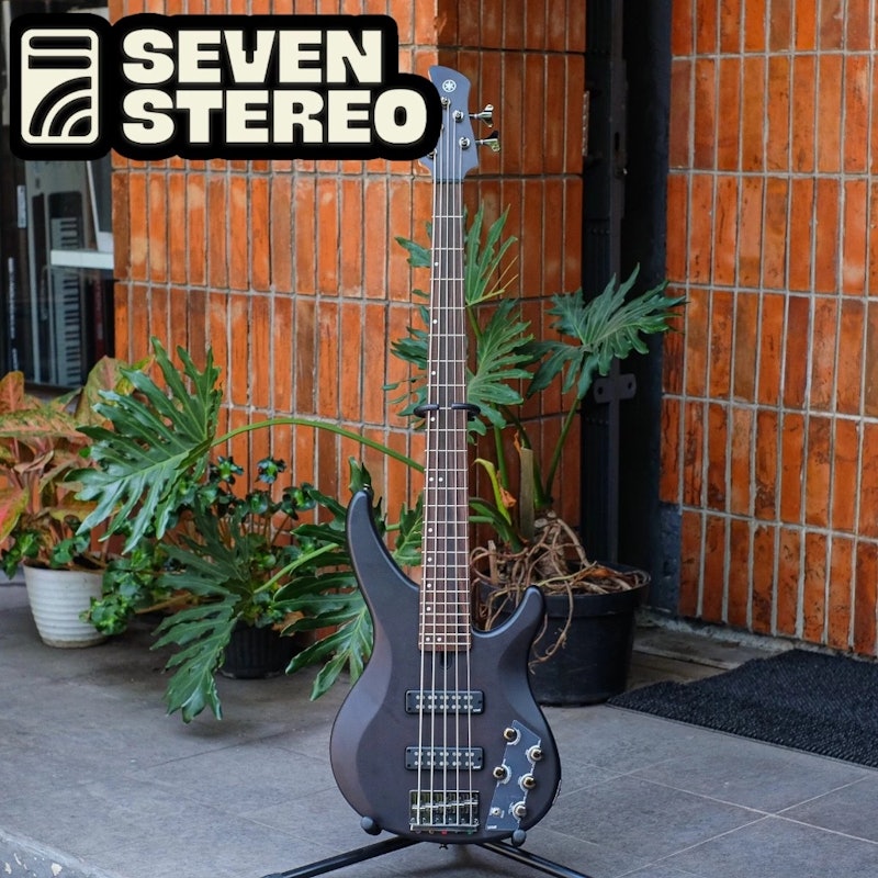 Yamaha Electric Bass 4
