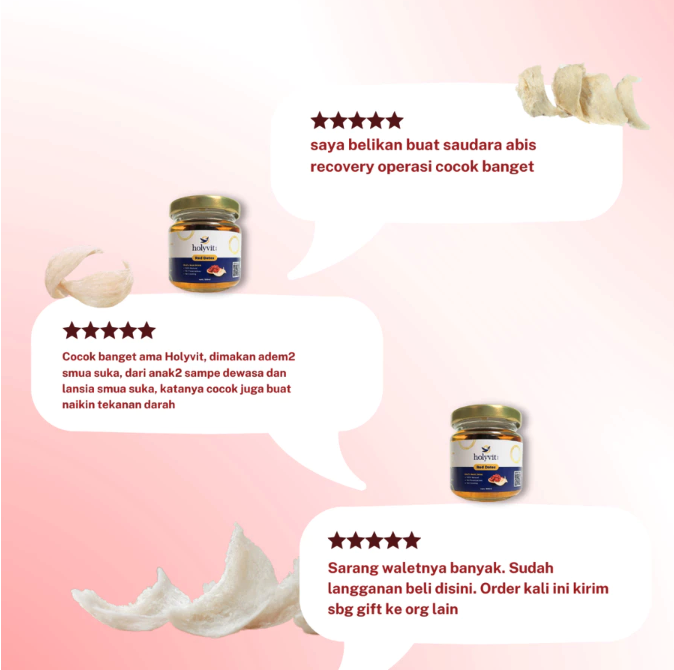  Holyvit Red Dates Bird's Nest Drink