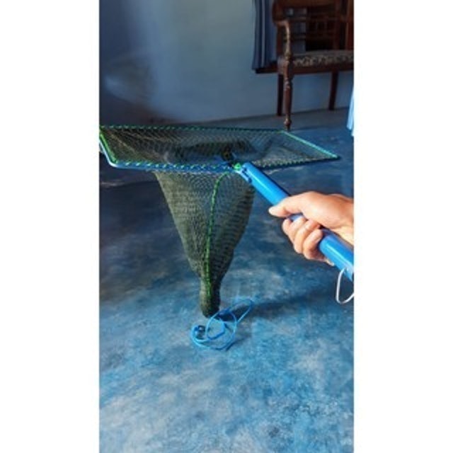  Serokan Brojol Ikan Besar