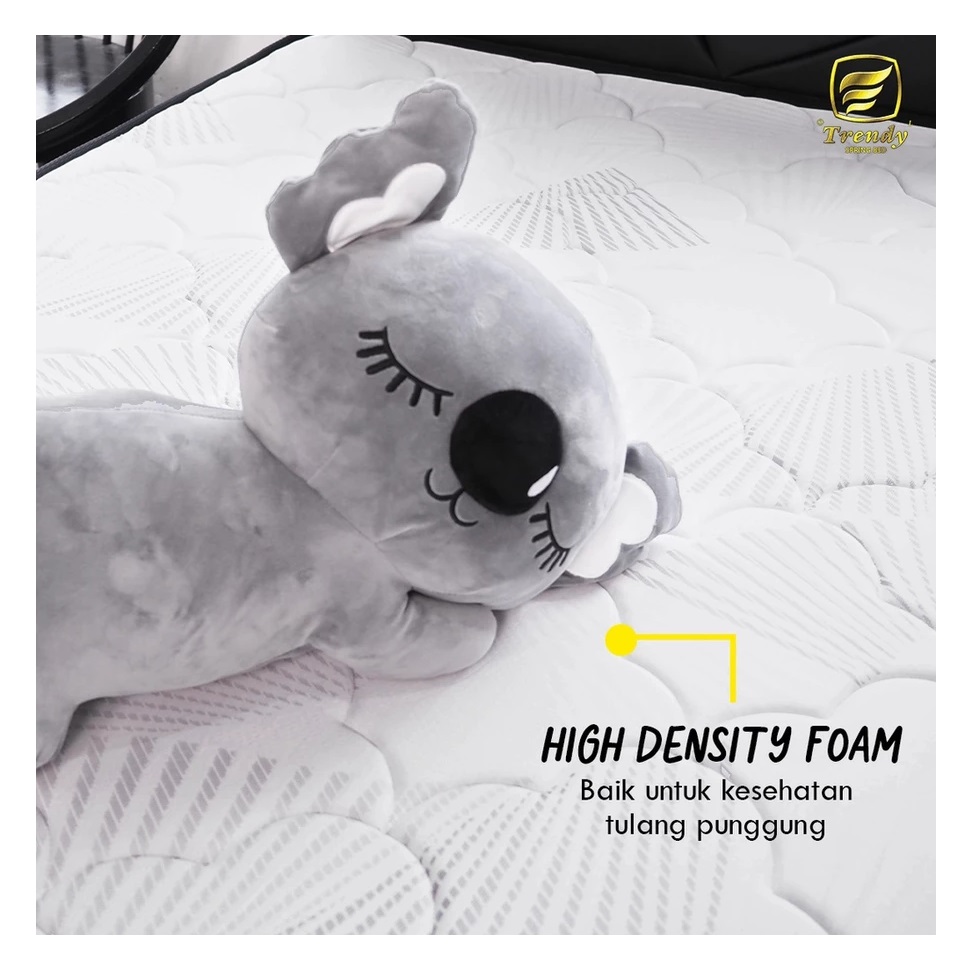Trendy Heaven Rebonded Foam Mattress 4