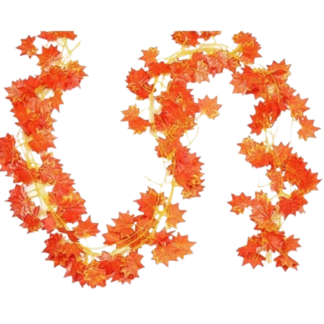  Daun Rambat Maple Orange