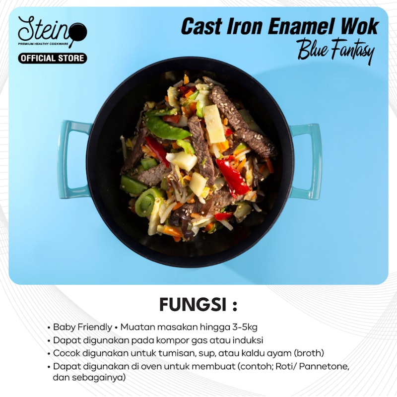 STEIN Cast Iron Enamel Wok 5