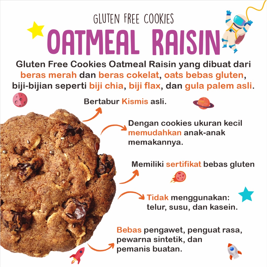 Verlin Indonesia Nola Gluten Free Cookies Oatmeal Raisin
