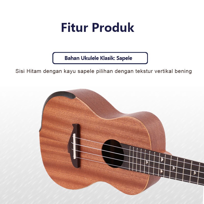 Ukulele Concerto 2